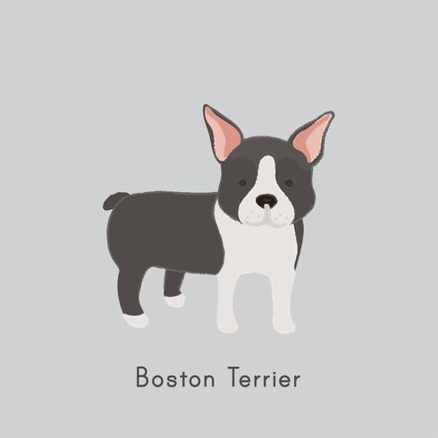490x490 Cute Illustration Of A Boston Terrier Dog