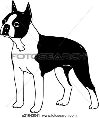 396x470 Free Boston Terrier Clipart Png And Cliparts For Free Download