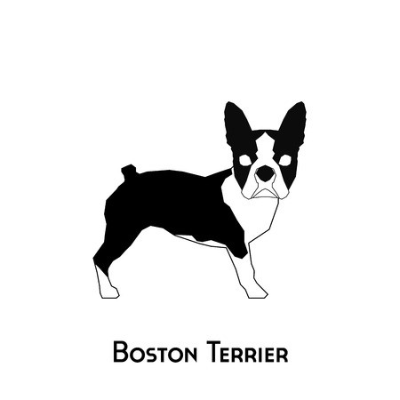 450x450 Isolated Silhouette Of A Boston Terrier On A White Background