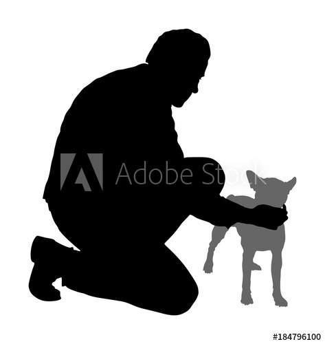 473x500 Owner Keeps The Dog On The Stage Boston Terrier Champion Vector