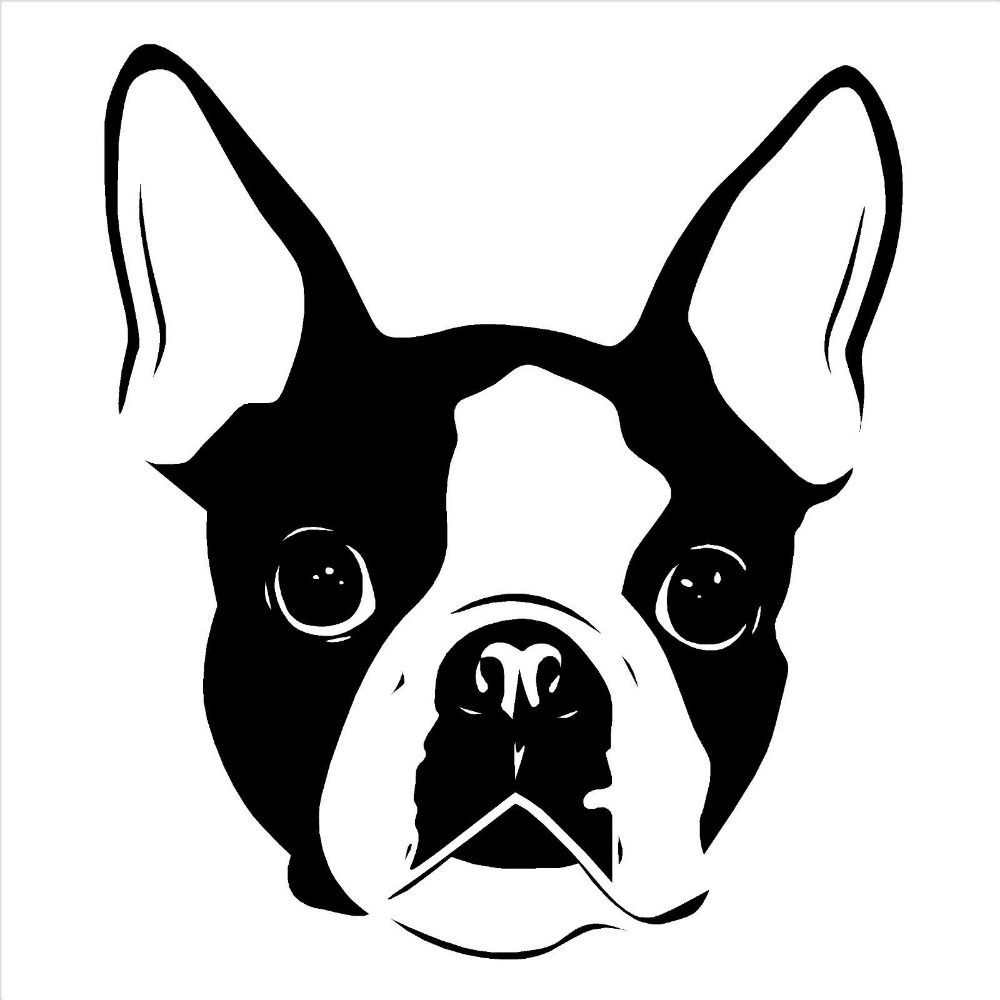 1000x1000 Related Image Art Boston Terrier Dog, Boston Terrier, Dogs