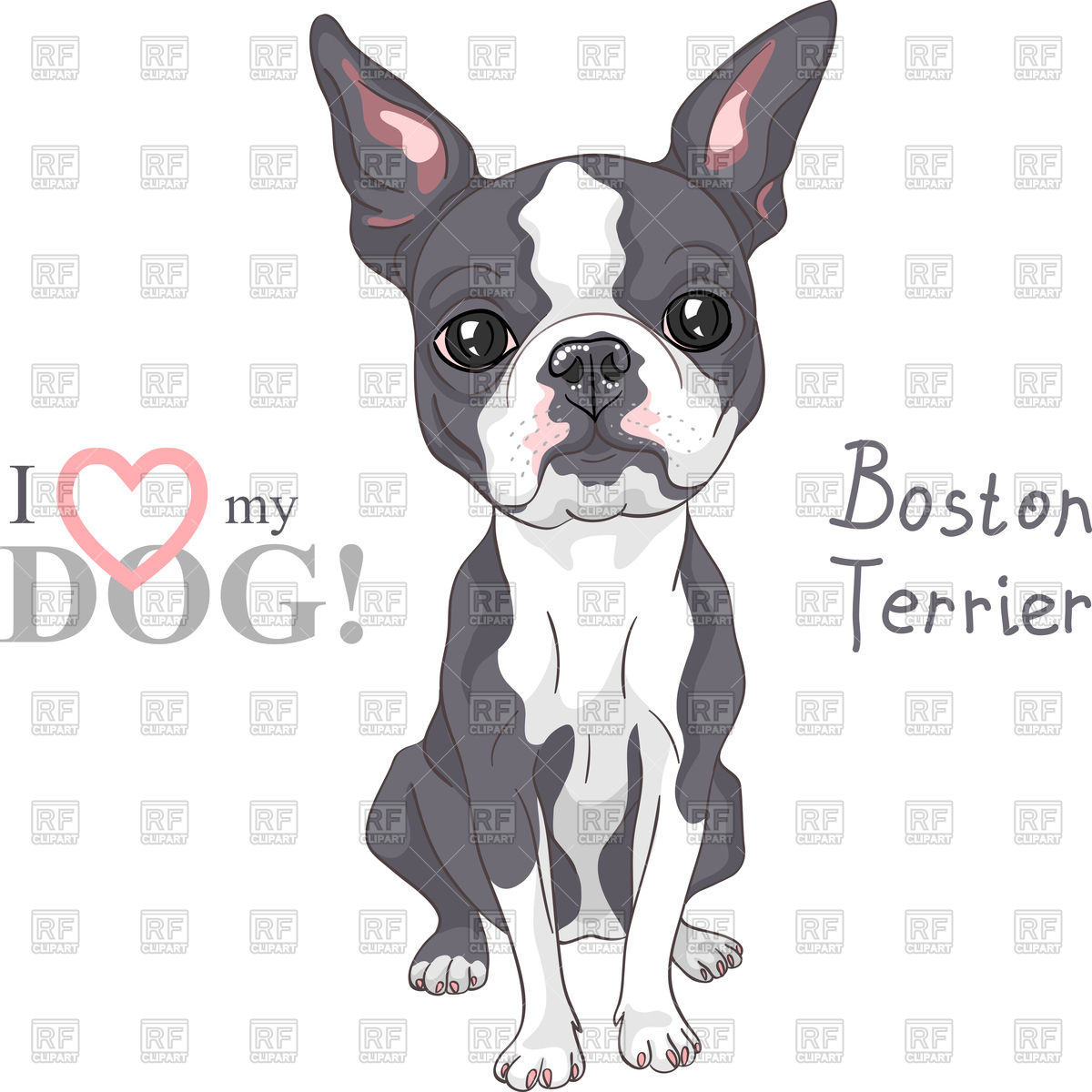1200x1200 Serious Dog Boston Terrier Breed Sitting Vector Image Of Plants