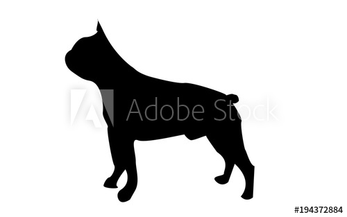 500x313 Boston Terrier Silhouette On White Background