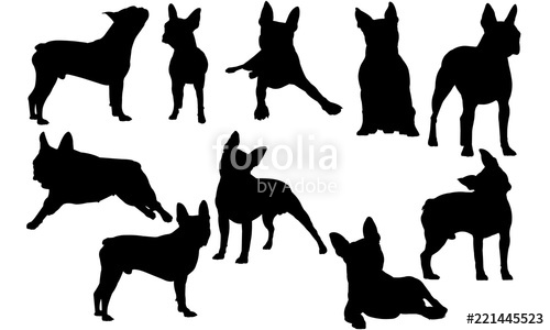 500x300 Boston Terrier Dog Cricut, Silhouette Clip Art, Vector
