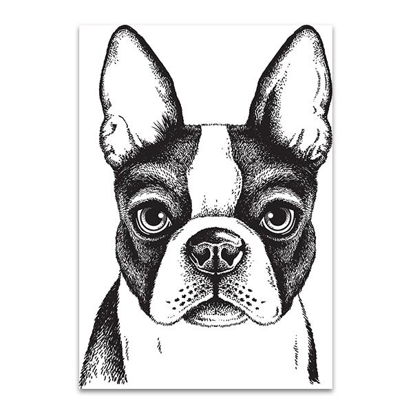 600x600 Boston Terrier Vector Art Print Artwork For The Home