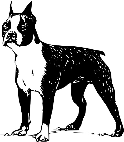 522x594 Boston Terrier Clip Art Free Vector In Open Office Drawing