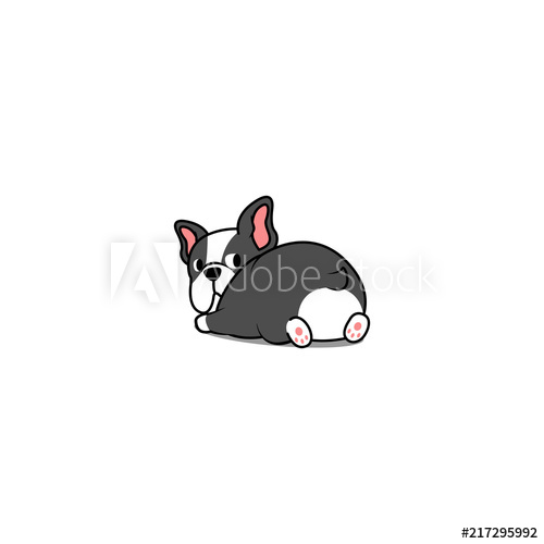 500x500 Cute Boston Terrier Dog Lying Down And Looking Back, Vector