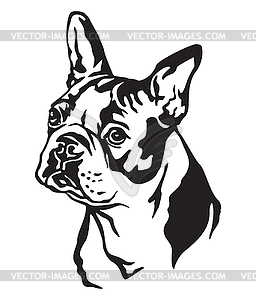 256x300 Decorative Portrait Of Dog Boston Terrier