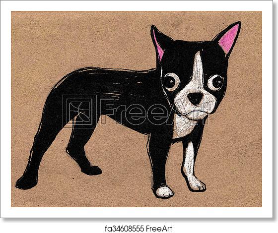 560x470 Free Art Print Of Boston Terrier Puppy Dog Illustration Hand