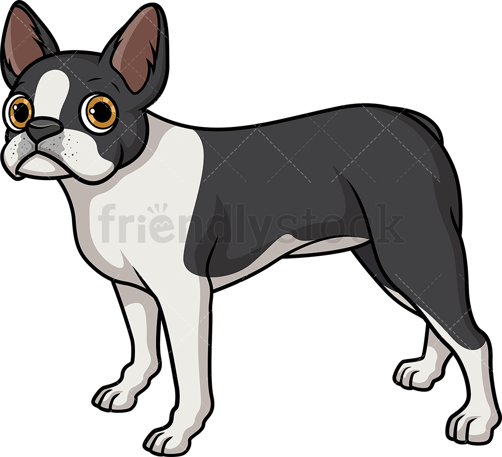 1000x911 Lovely Boston Terrier Cartoon Clipart Vector