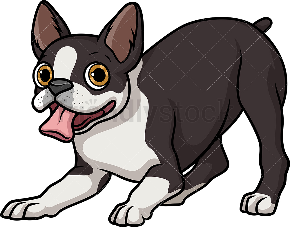 1000x781 Playful Boston Terrier Cartoon Clipart Vector