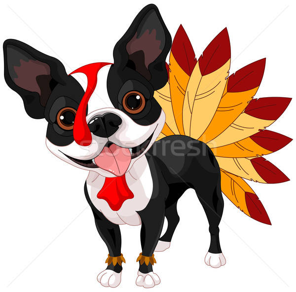 600x592 Thanksgiving Boston Terrier Vector Illustration Anna
