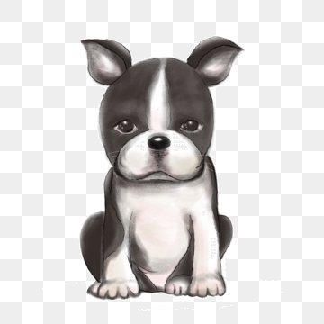 360x360 Boston Terrier Dog Png, Vector, And Clipart With Transparent