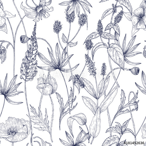 500x500 Hand Drawn Monochrome Floral Seamless Pattern With Gorgeous