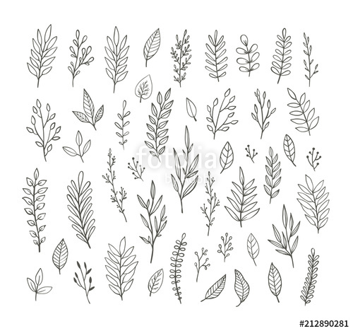 500x468 Hand Drawn Vintage Botanical Vector Collection Branches, Leaves