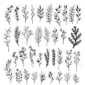 Botanical Vector at Vectorified.com | Collection of Botanical Vector ...