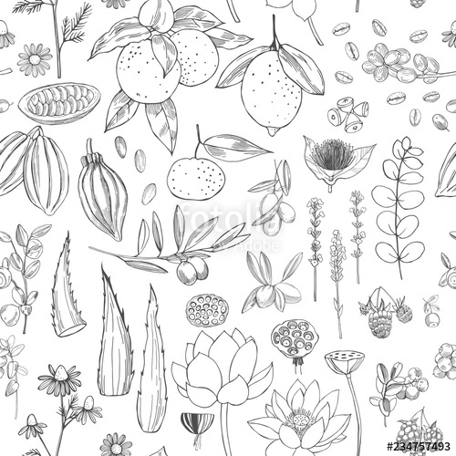 500x500 Botanical Vector Pattern With Hand Drawn Plants Organic