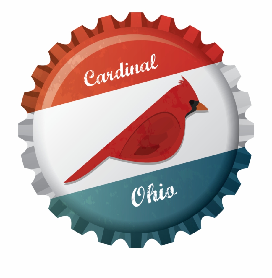 Cardinal Bird Ohio 920x941 Cardinal Bird Ohio