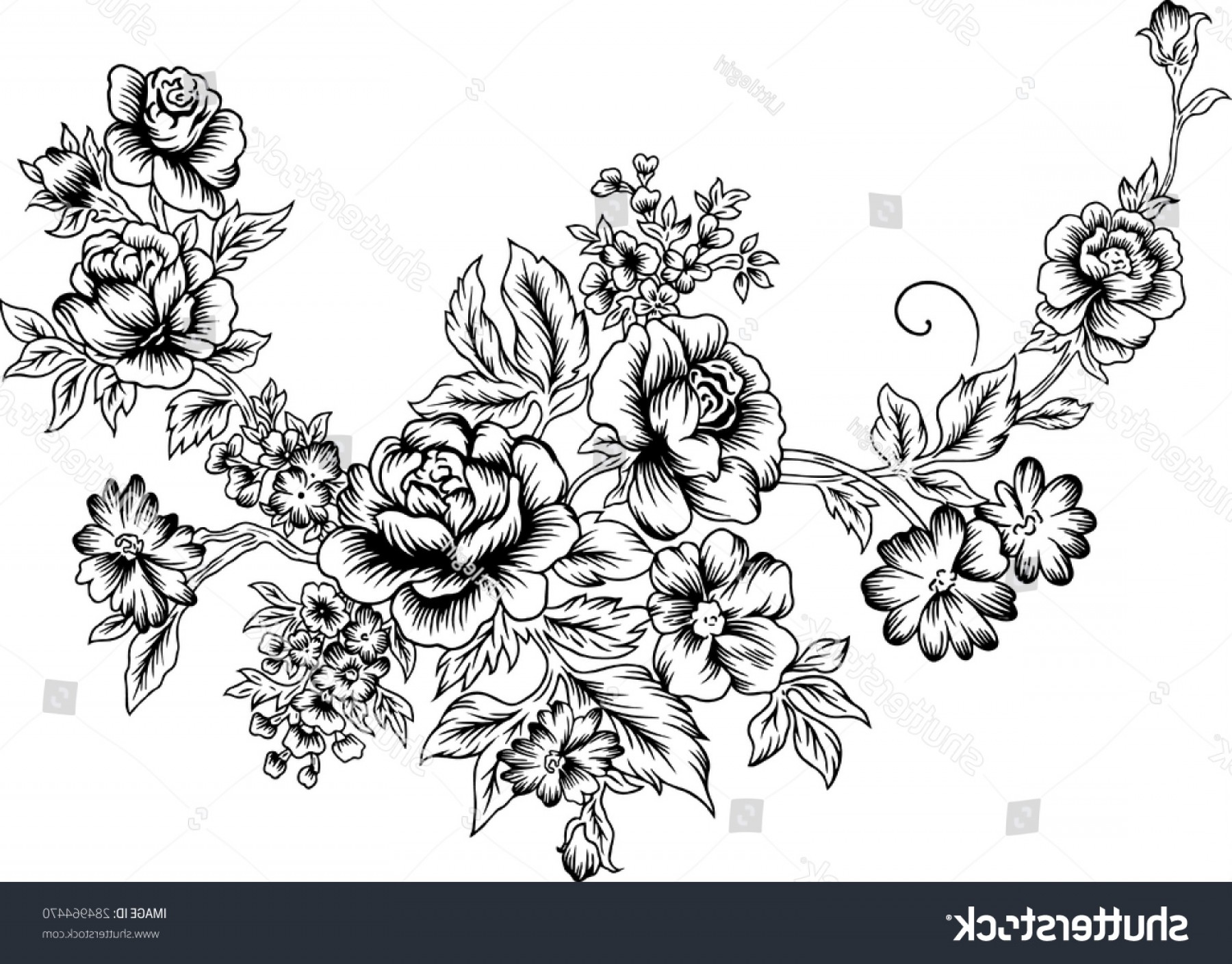 1800x1408 Line Large Bouquet Vector Background Fabric Soidergi