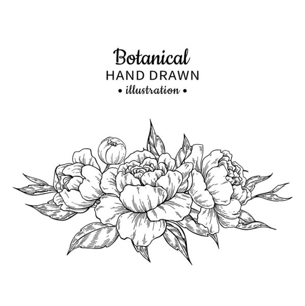 599x600 Vintage Flower Bouquet Vector Drawing Peony, Rose Art Print