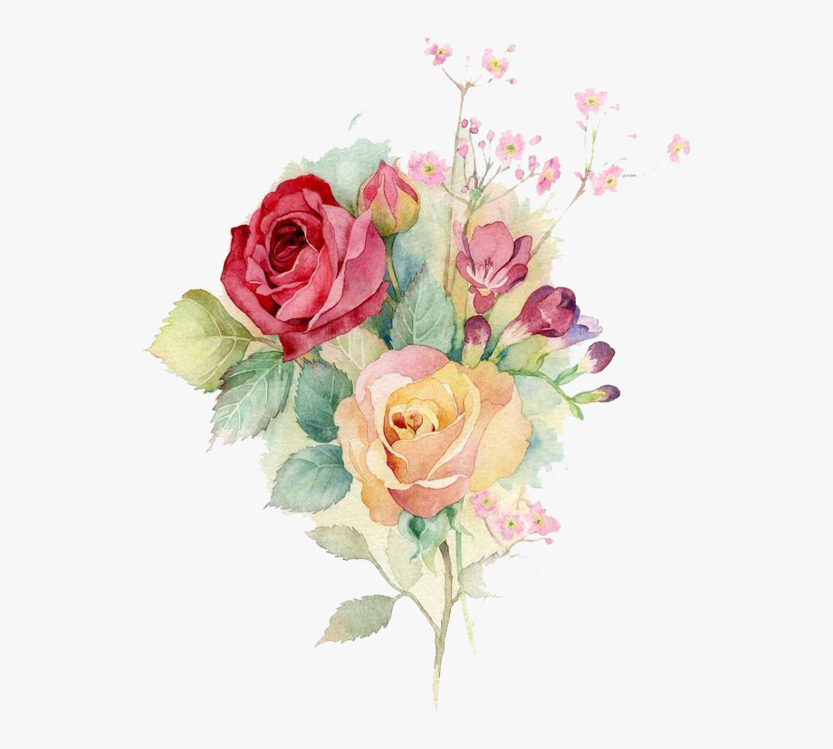 920x828 Bouquet Vector Watercolor Clipart Download