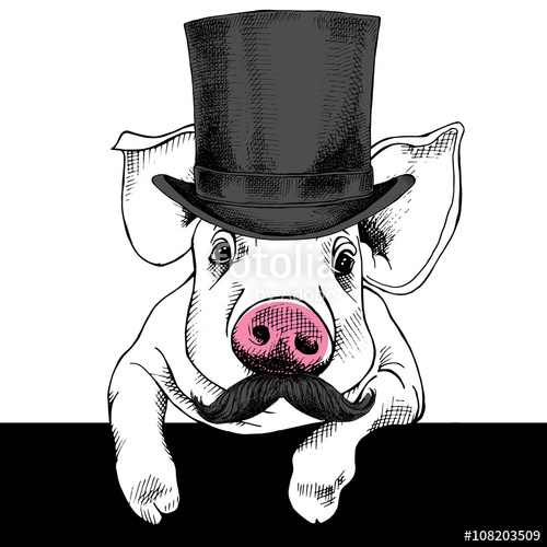 The Image Pig Portrait With Mustache And In The Bowler Hat Vector 500x500 The Image Pig Portrait With Mustache And In The Bowler Hat Vector