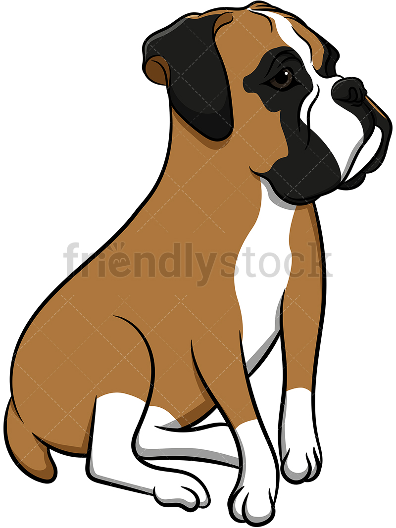 Boxer Dog Vector