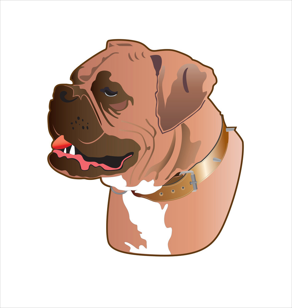 949x1000 Boxer Dog Vector Free Graphics Uihere