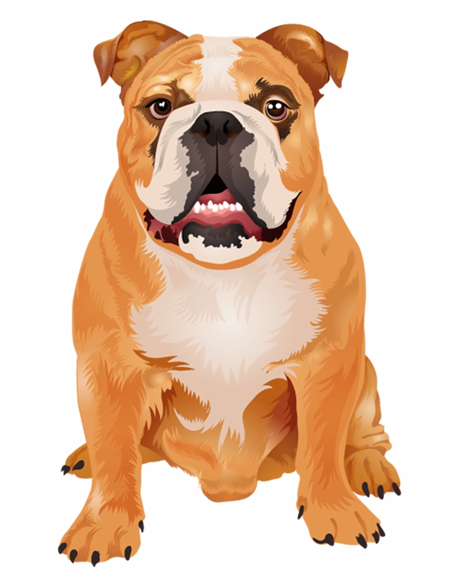 920x1178 Dogs Vector Boxer