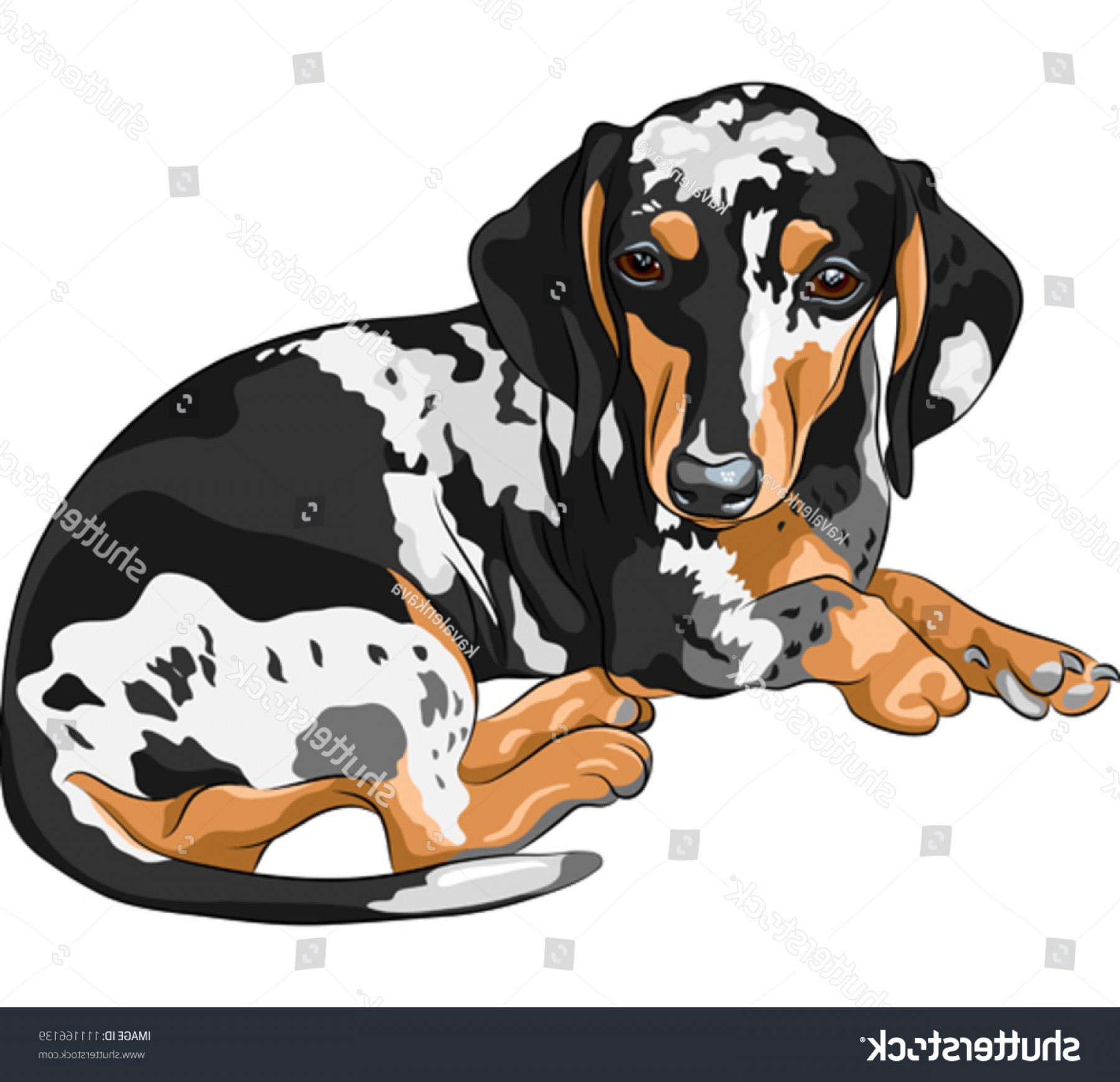 1800x1738 Double Boxer Dog Vector Newwaysys