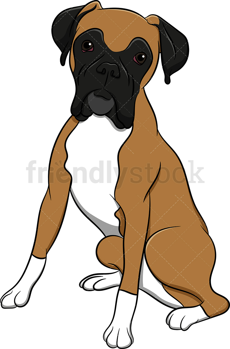 Eager Boxer Dog Cartoon Vector Clipart 787x1196 Eager Boxer Dog Cartoon Vector Clipart