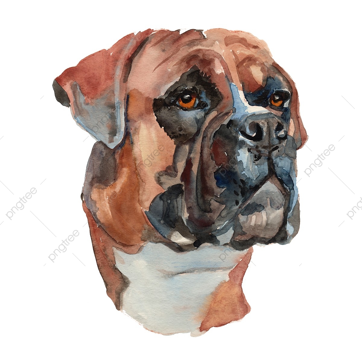 1200x1200 German Boxer Dog, Animal, Banner, Boxer Png And Vector