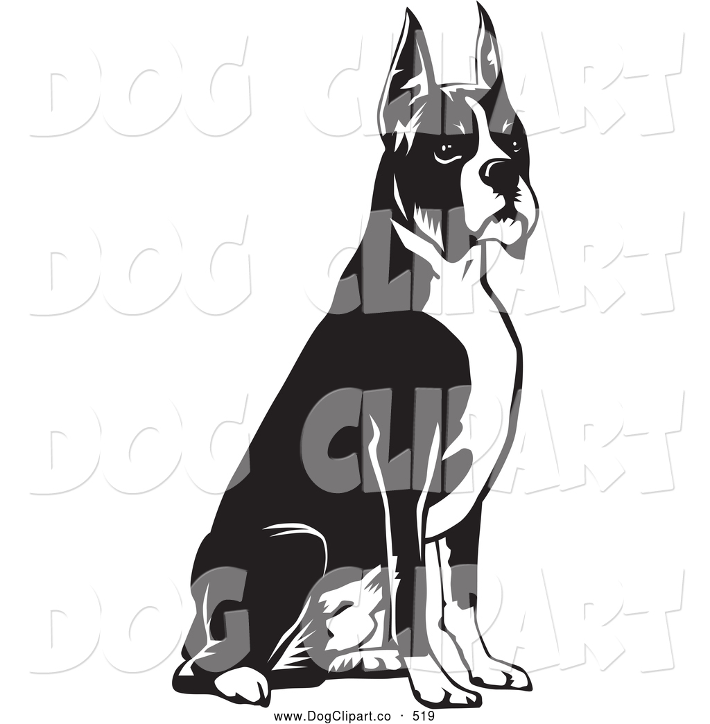 1024x1044 Vector Clip Art Of A Cute And Obedient Boxer Dog With Cropped Ears