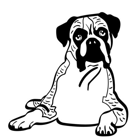 490x490 Boxer Dog Vector