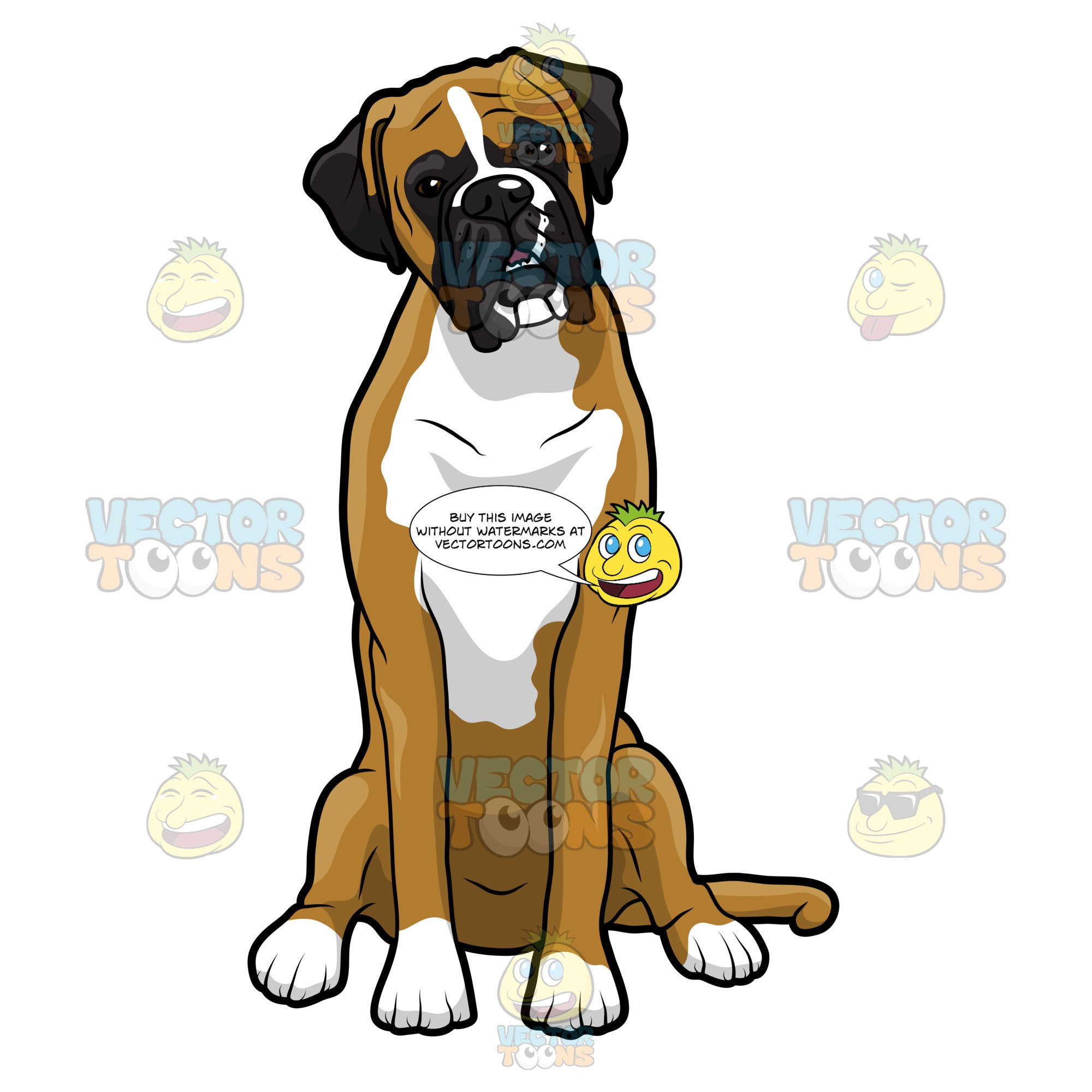 2000x2000 Boxer Dog Sitting And Looking Ahead Clipart Cartoons