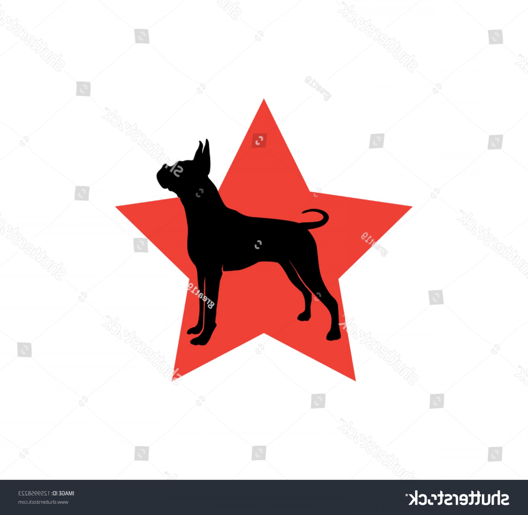 1800x1756 Boxer Dog Star Championship Competition Vector Newwaysys