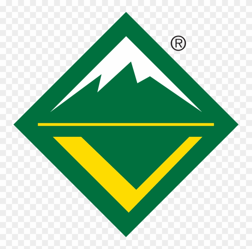 840x830 Boy Scout Logo