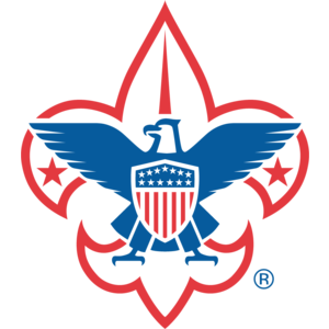 300x300 Ovi Eagle Scout Cake, Eagle Scout