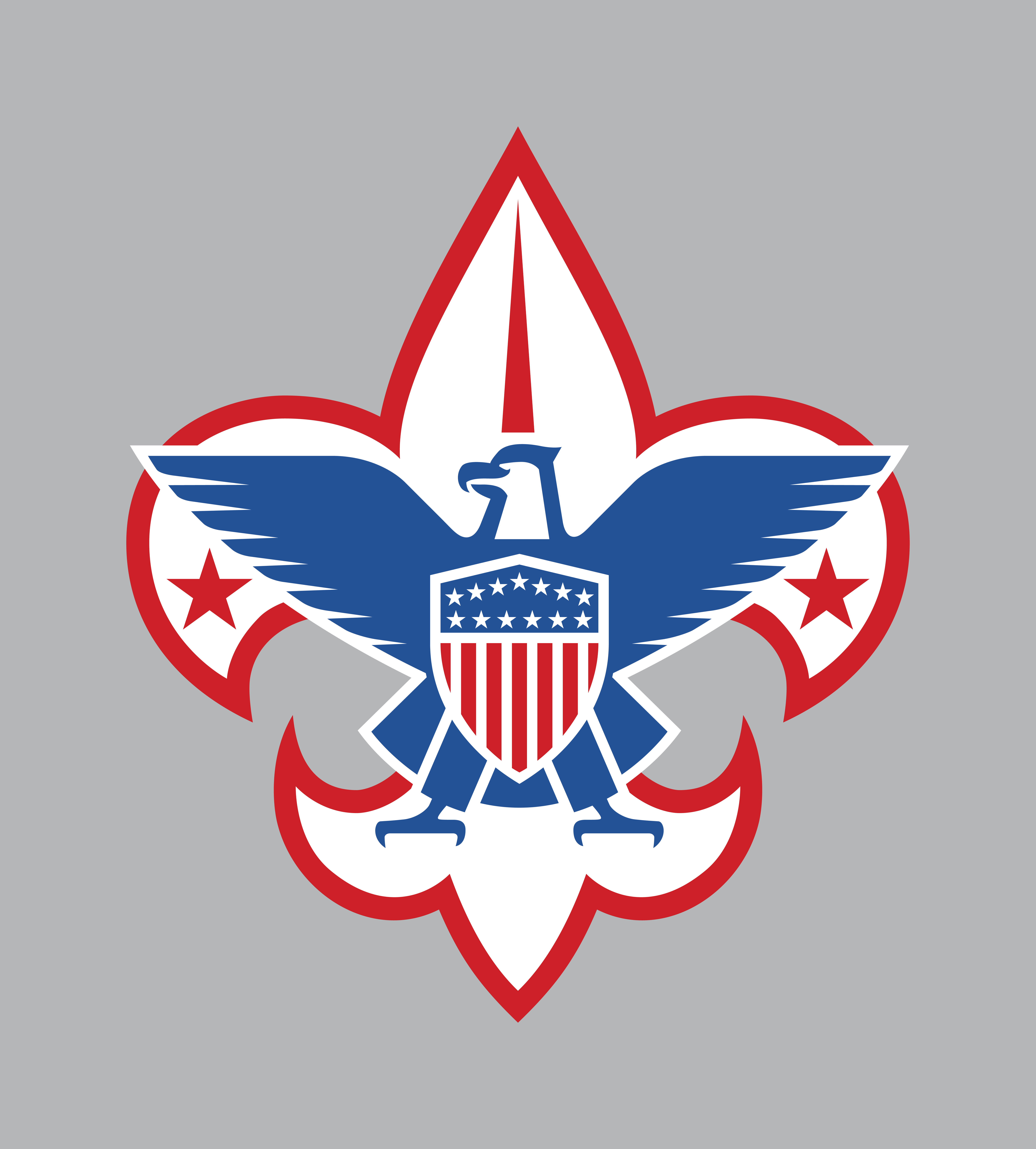 6916x7668 Boy Scouts Of America Tee Shirt Design Digital Portfolio