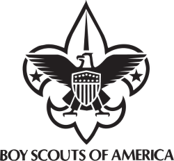 250x232 Boy Scouts Of Logo Vector