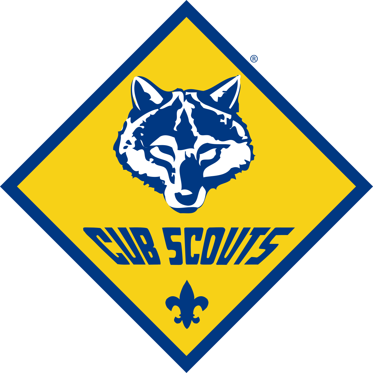 1200x1200 Cub Scouting