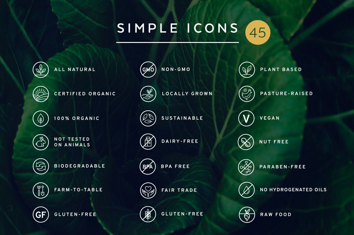 1160x772 Eco Friendly Logo Icon Bundle