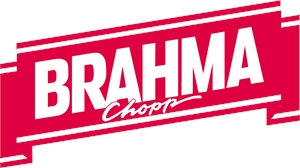 300x168 Brahma Logo Vectors Free Download