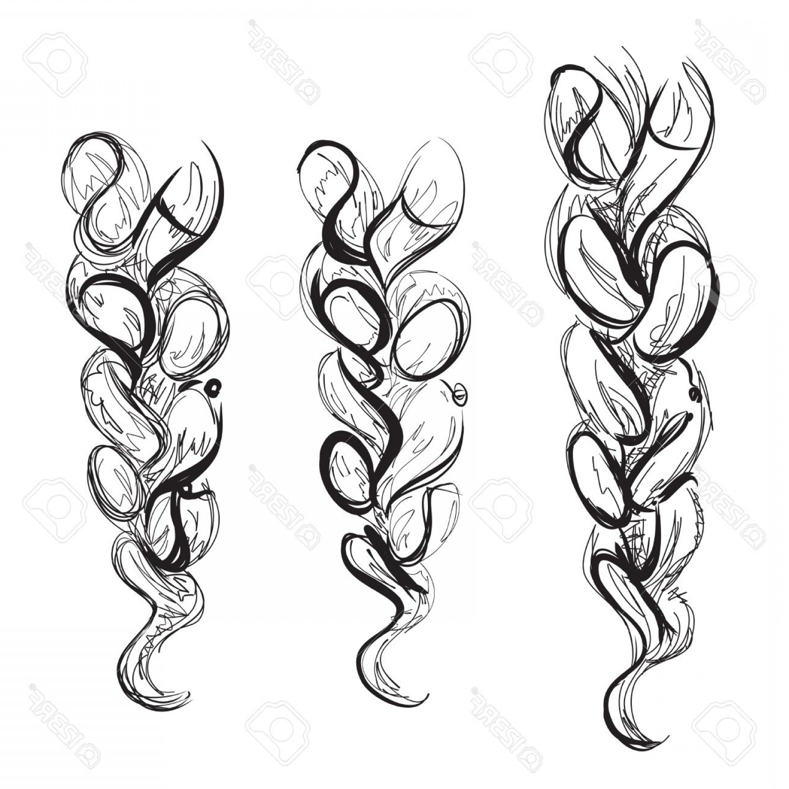 1560x1560 Braiding Salon Vector Studiogrfx