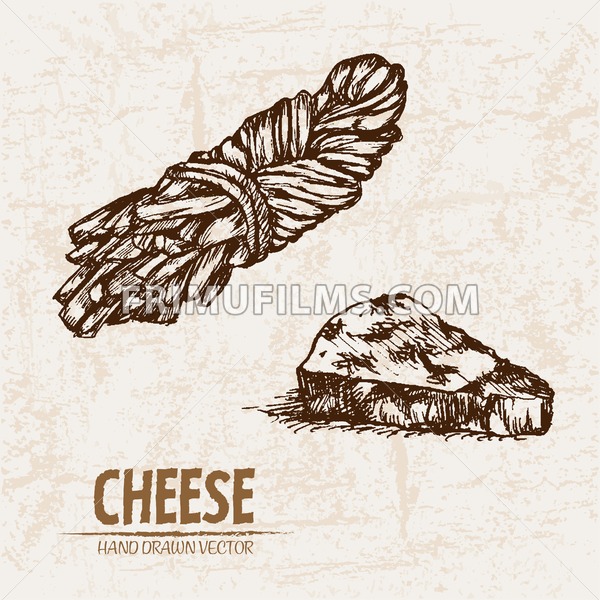 600x600 Digital Vector Detailed Line Art Cheese Braid And Holed Slices