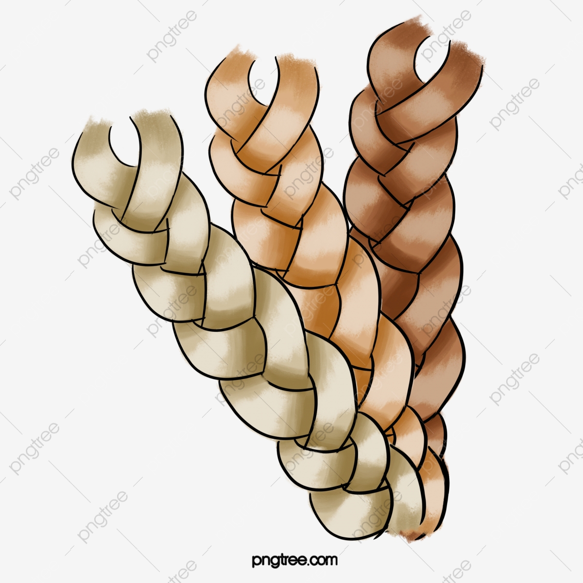 1200x1200 Vector Hand Painted Braids, Vector, Hand Painted, Braid Png