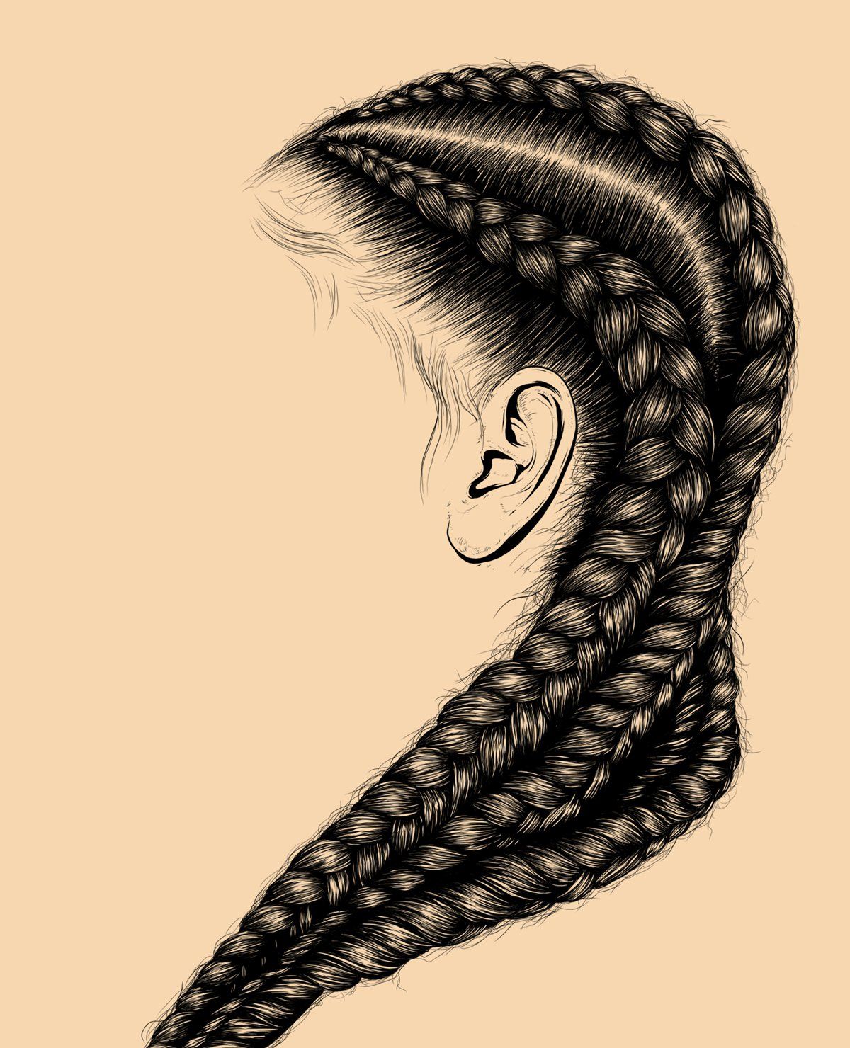 Download Braid Vector at Vectorified.com | Collection of Braid Vector free for personal use