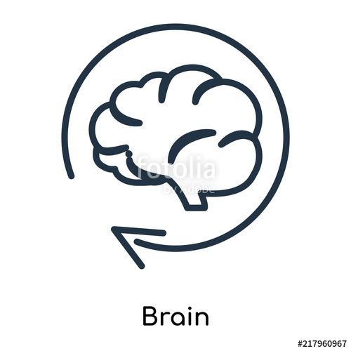 500x500 Bran Vector Isolated On White Background, Brain Sign Thin
