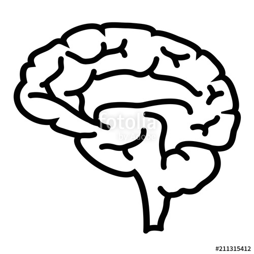 500x500 Bran Vector Stock Image And Royalty Free Vector