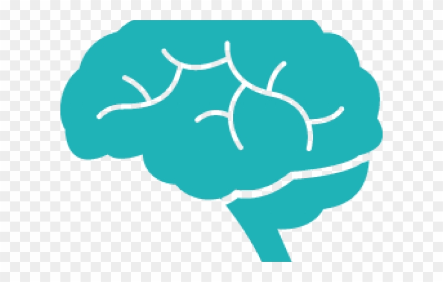880x560 Brains Clipart Icon